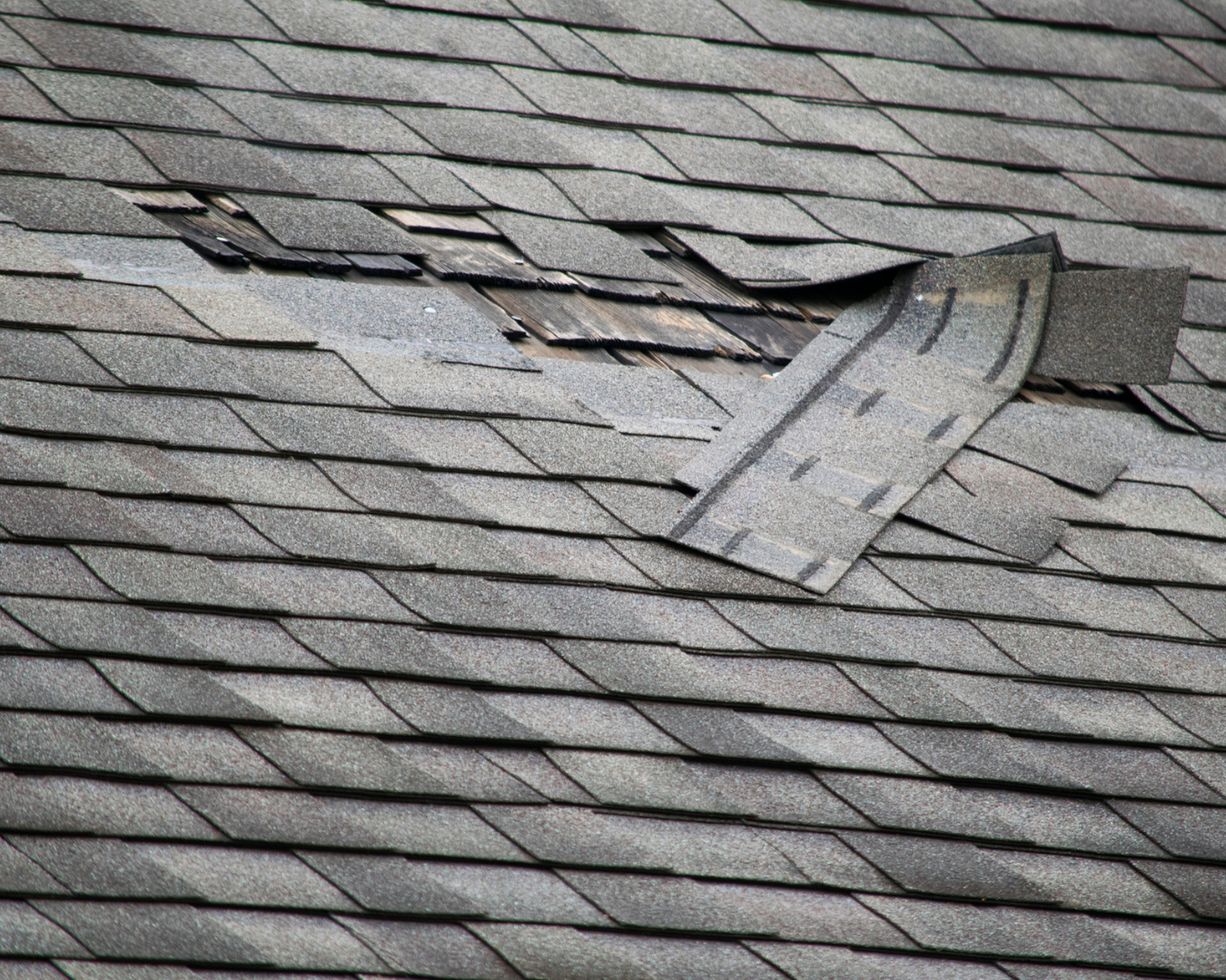 Close up shot of asphalt shingles ripped up from roof from storm damage.