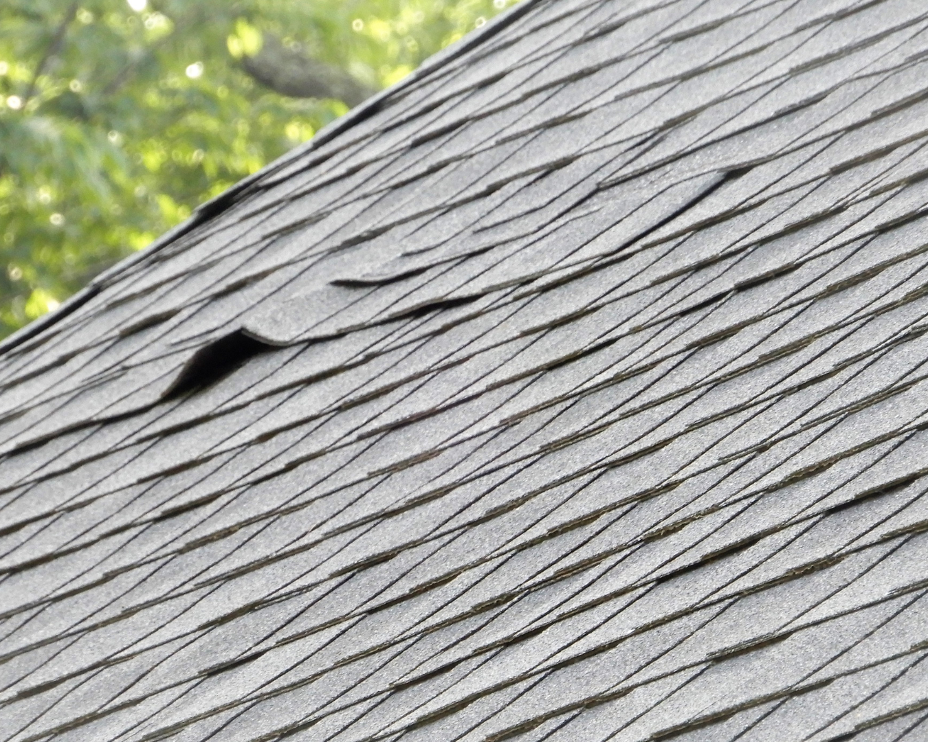 Close up of lifted asphalt shingle on residential roof.