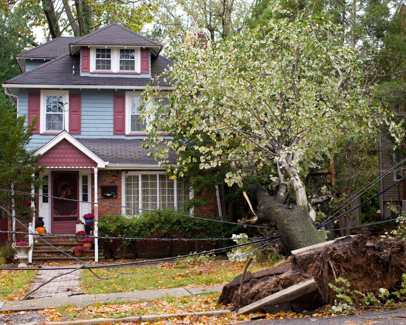 Beautiful, two-story, residential home with large fallen tree from the front yard leaning on home and roof.