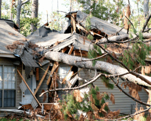 Residential one-story home with roof crushed by tree.