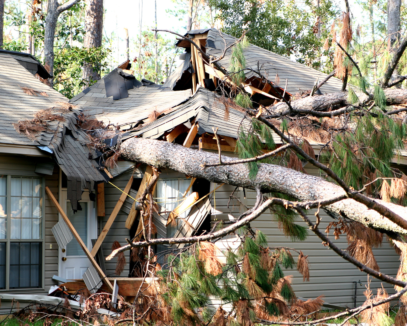 Residential one-story home with roof crushed by tree.