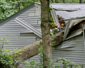 Residential house with roof crushed by tree. Roofing and siding damaged.